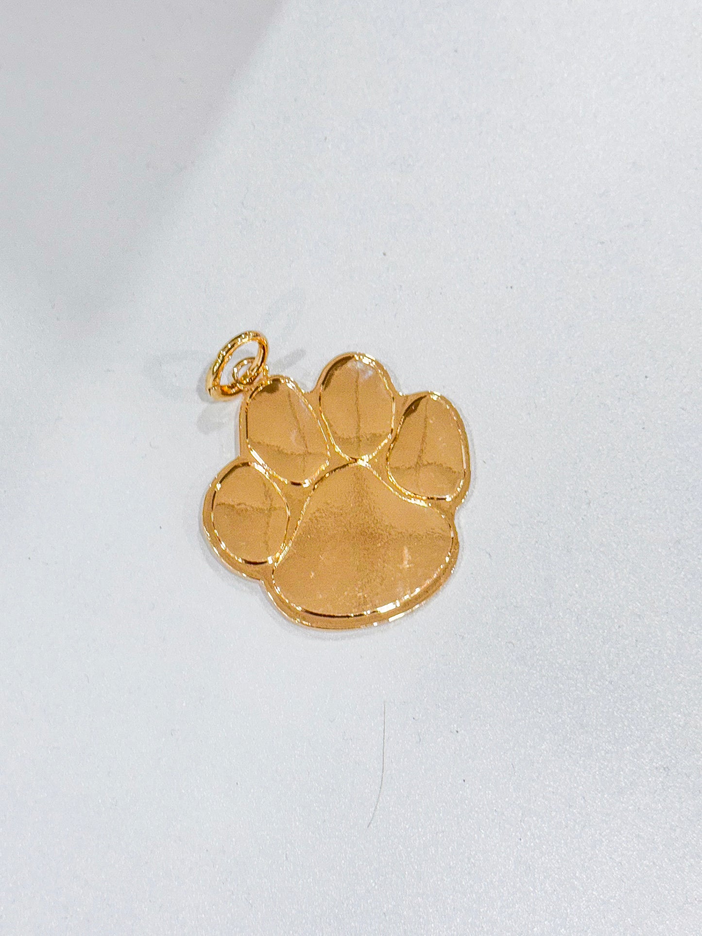 Solid Paw Charm