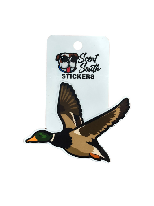 Mallard Sticker