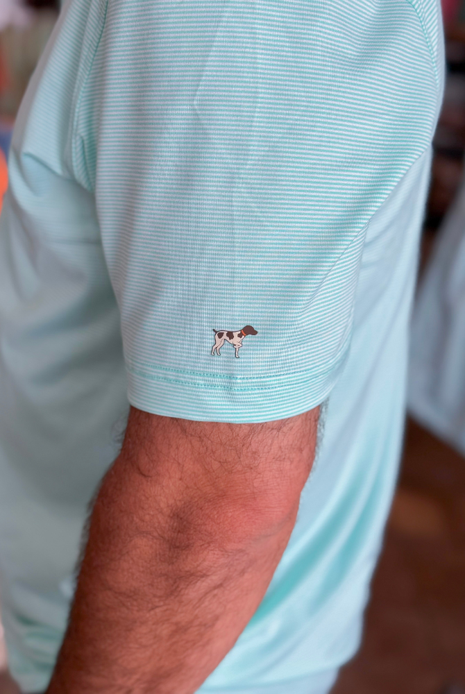 Southern Point Hinton Stripe Performance Polo in Pool Water/White