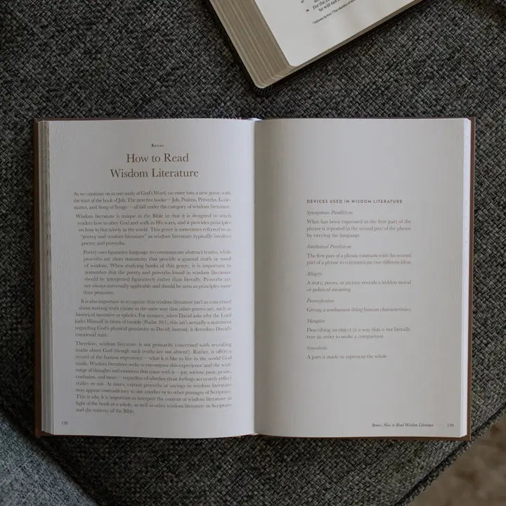 A Year in the Bible Men's Study - Volume 2