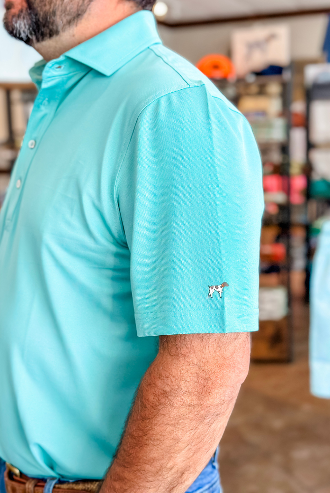 Southern Point Charles 4-button Pique Polo in Emerald Coat