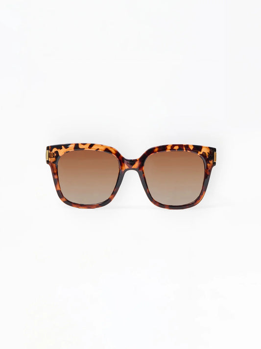 Mary Square | Krista Polarized Sunglasses in Brown Tortoise