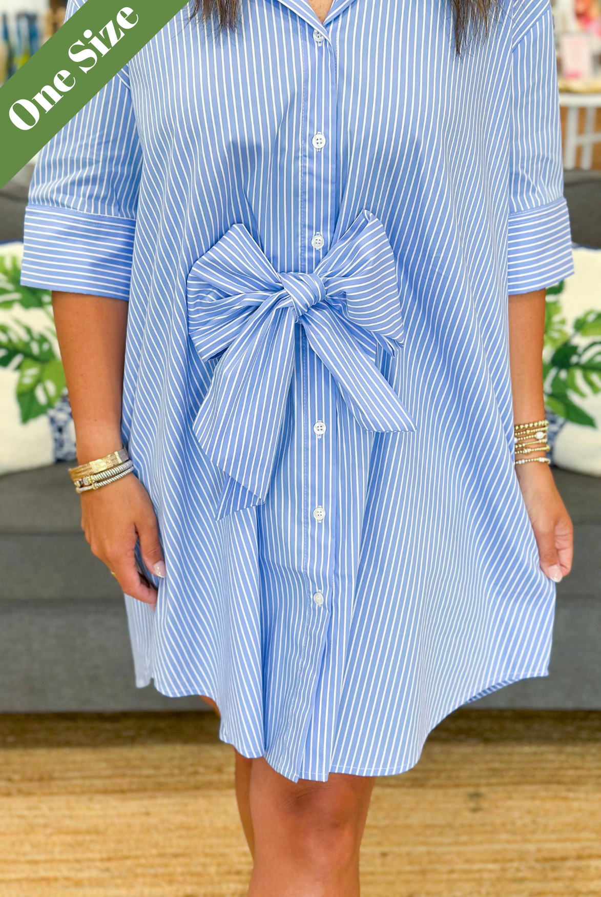 Caryn Lawn Charlotte Dress in Blue Stripe
