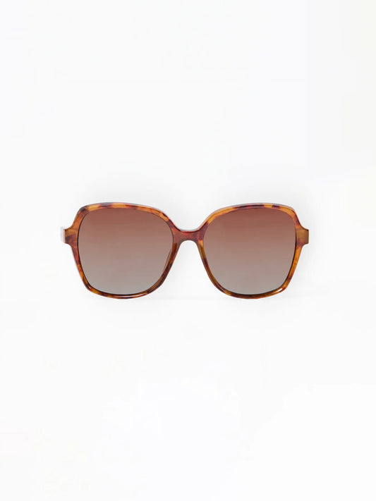 Mary Square | Haley Polarized Sunglasses in Brown Tortoise