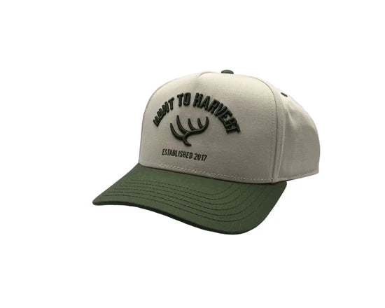 Hunt to Harvest | Classic Collection Hat in Olive