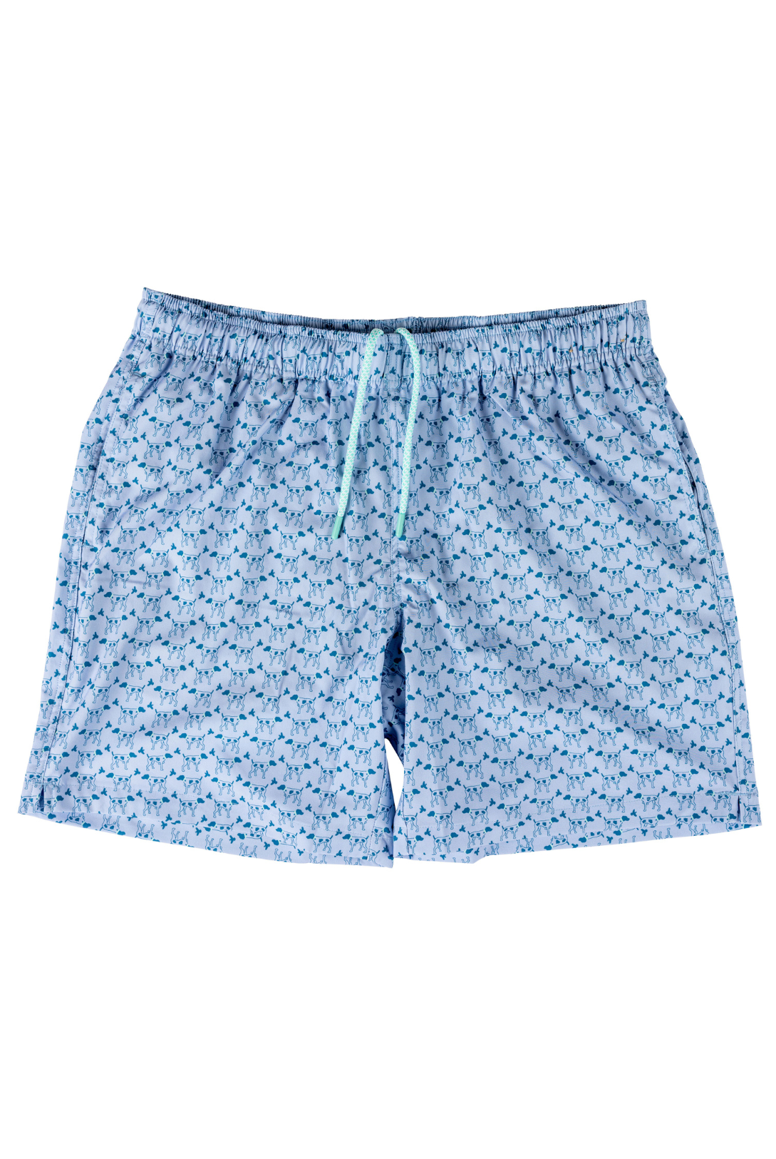 Southern Point Patterned Trunk in Greyton Light Blue
