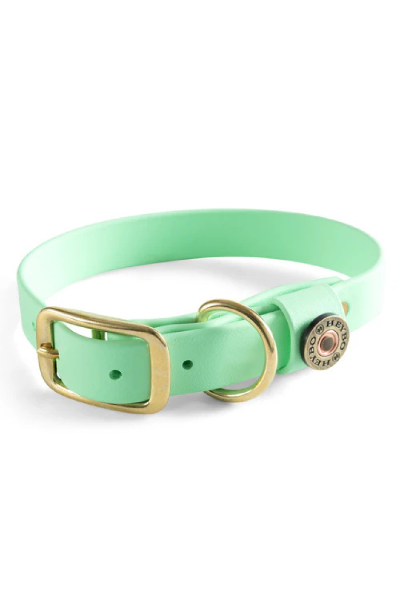Heybo Biothane Dog Collar in Mint