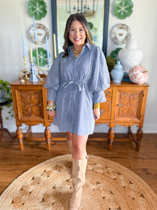 Palmer Pinstripe Dress