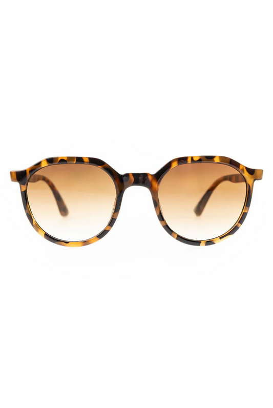 Mary Square Meredith Sunglasses | Brown Tortoise