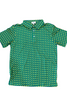 AutiLove Master's Performance Polo in Green