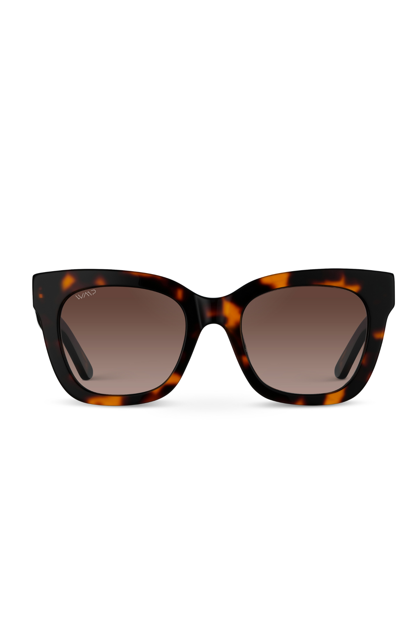 Stormi Sunglasses in Tortoise