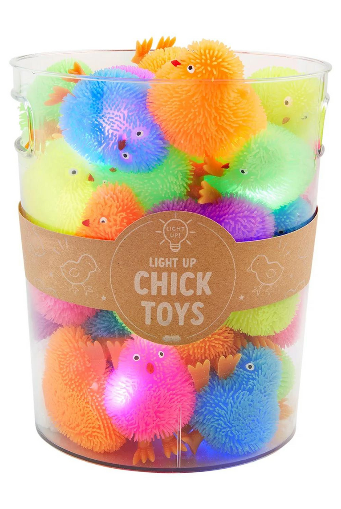 LED Light Up Chick Toys Plantation 59