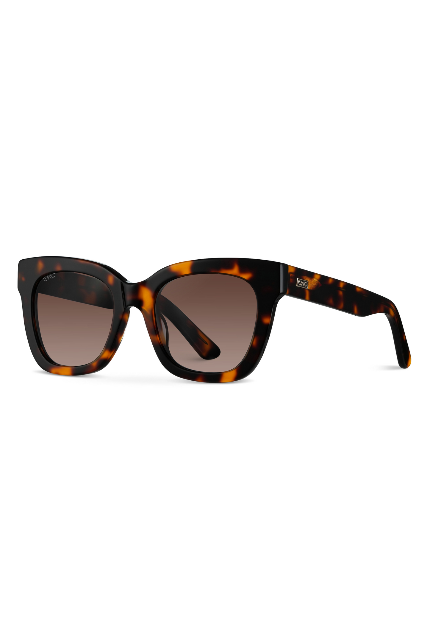 Stormi Sunglasses in Tortoise