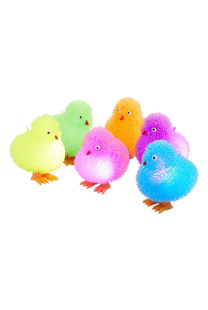 LED Light Up Chick Toys Plantation 59