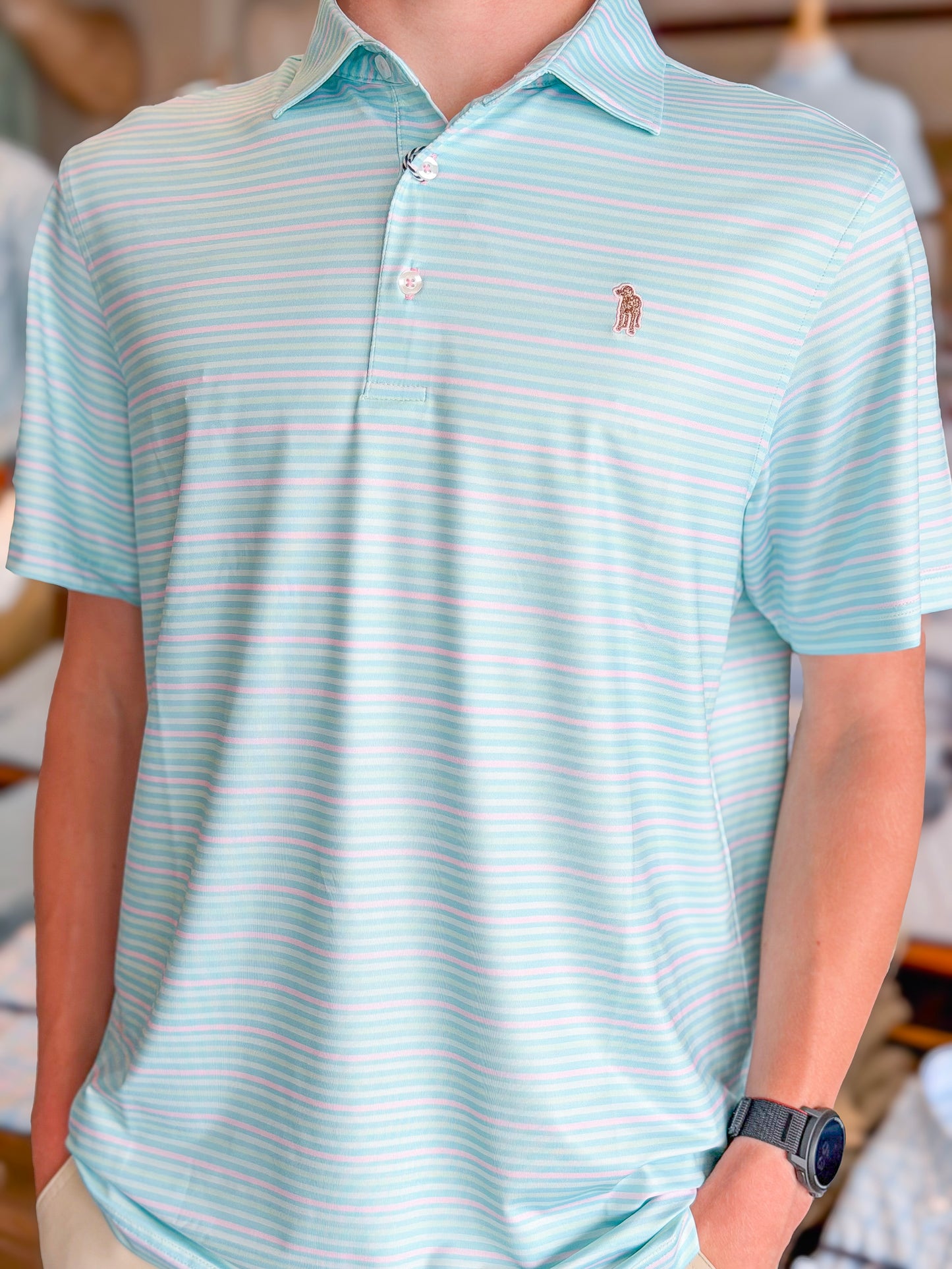 Southern Casanova | Spinnaker Stripe Polo