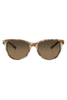 Costa | Catherine Sunglasses