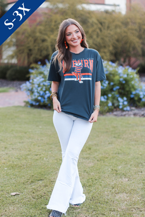 The Auburn Distressed Boyfriend Tee