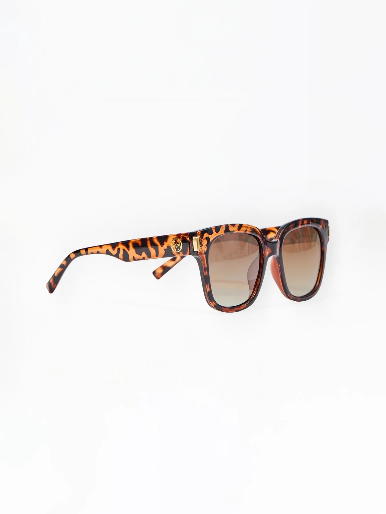Mary Square | Krista Polarized Sunglasses in Brown Tortoise