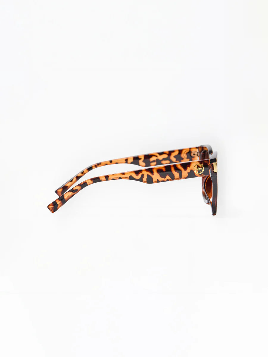 Mary Square | Krista Polarized Sunglasses in Brown Tortoise