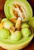 Bee Belle Honeydew Melon Lip Balm
