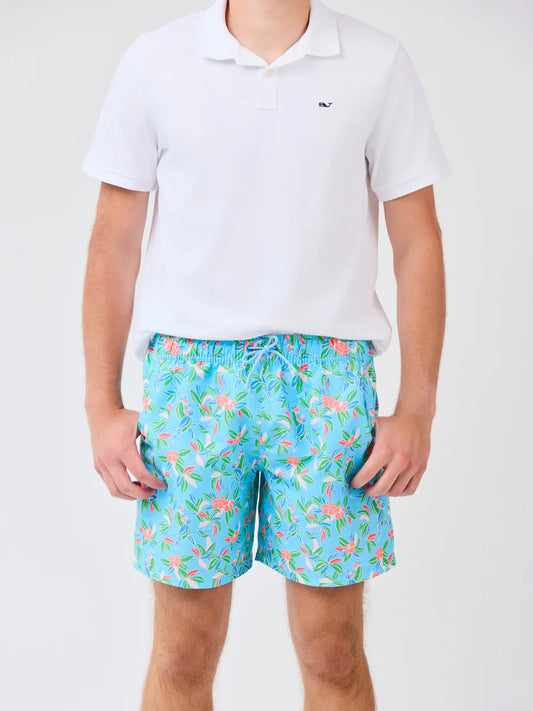 Mary Square | Men's Dylan Swimsuit in Tiki Tropics Multi