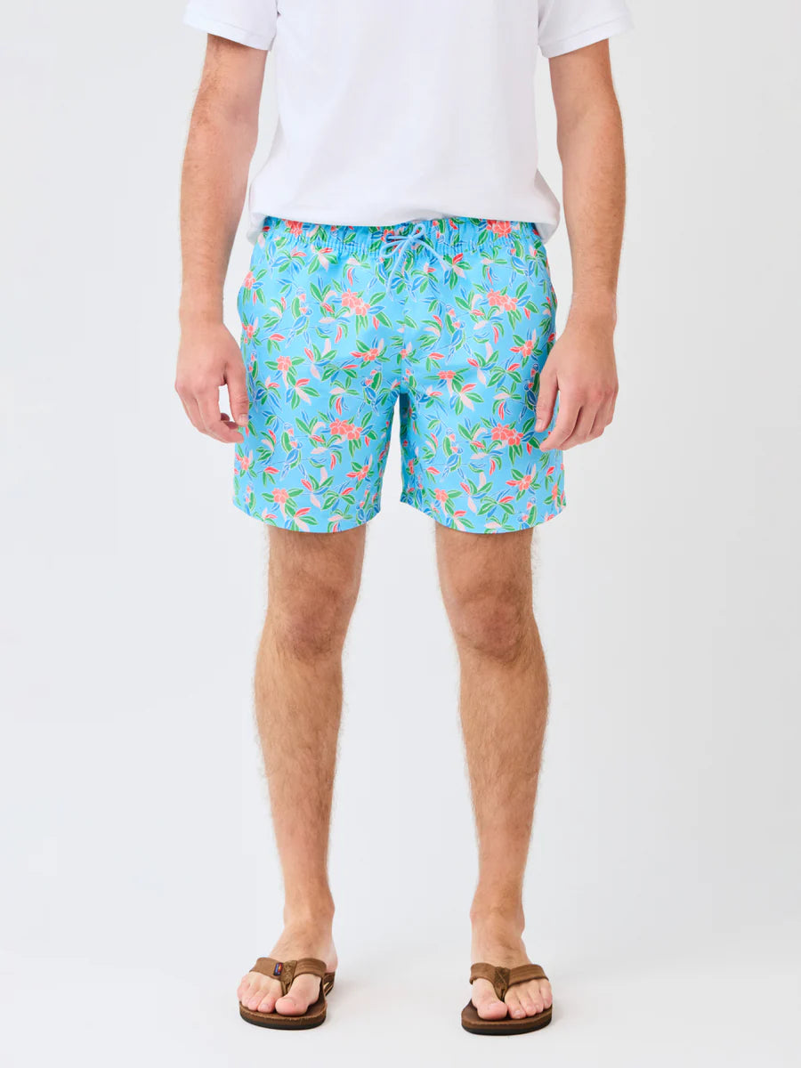 Mary Square | Men's Dylan Swimsuit in Tiki Tropics Multi