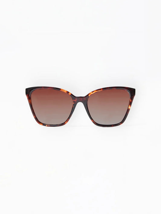 Mary Square | Mara Polarized Sunglasses in Brown Tortoise