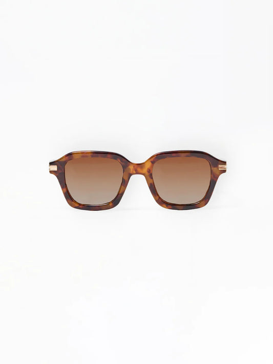 Mary Square | Alyssa Polarized Sunglasses in Tortoise