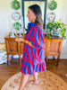 Patriotic Picnic Mini Dress