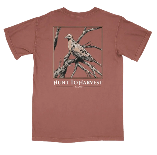 Hunt to Harvest Dove Tee in Clay