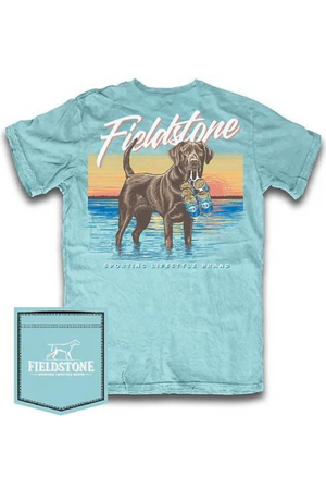 Fieldstone 6 Pack Lab T-Shirt in Chalky Mint