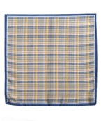 Bridgett Plaid Scarf in Blue