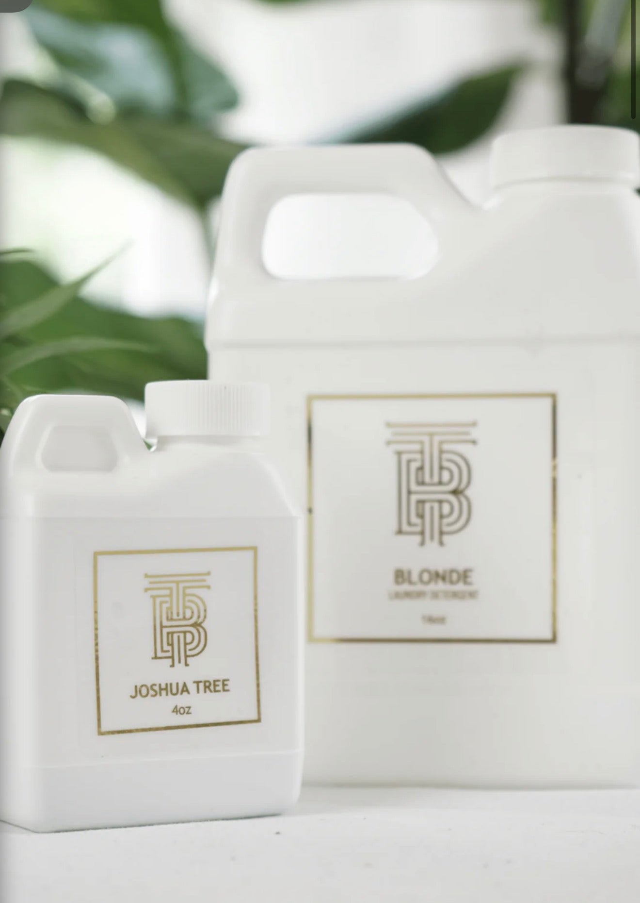 Thomas Blonde | Laundry Detergent in Bonde 16oz