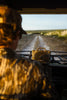 Turtlebox | Original (Gen 3) in Bottomland