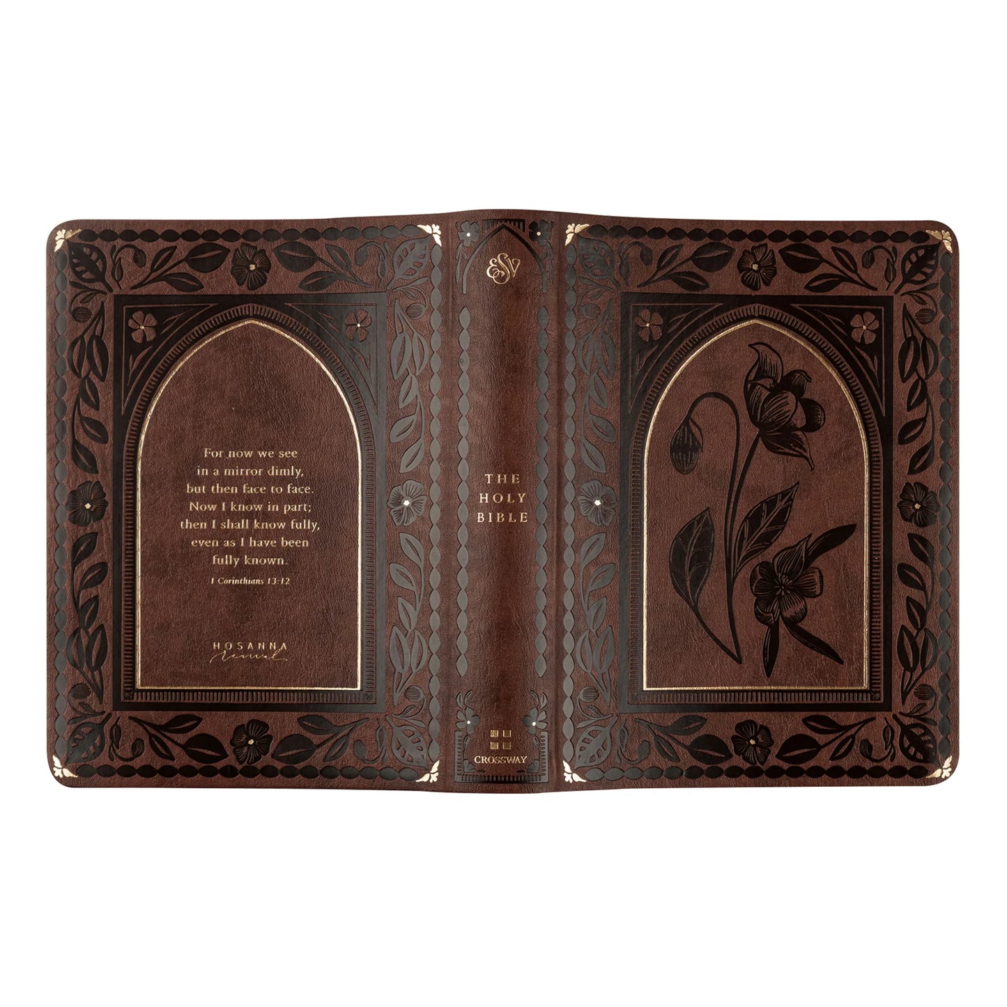 ESV Journaling Bible: Palma Theme