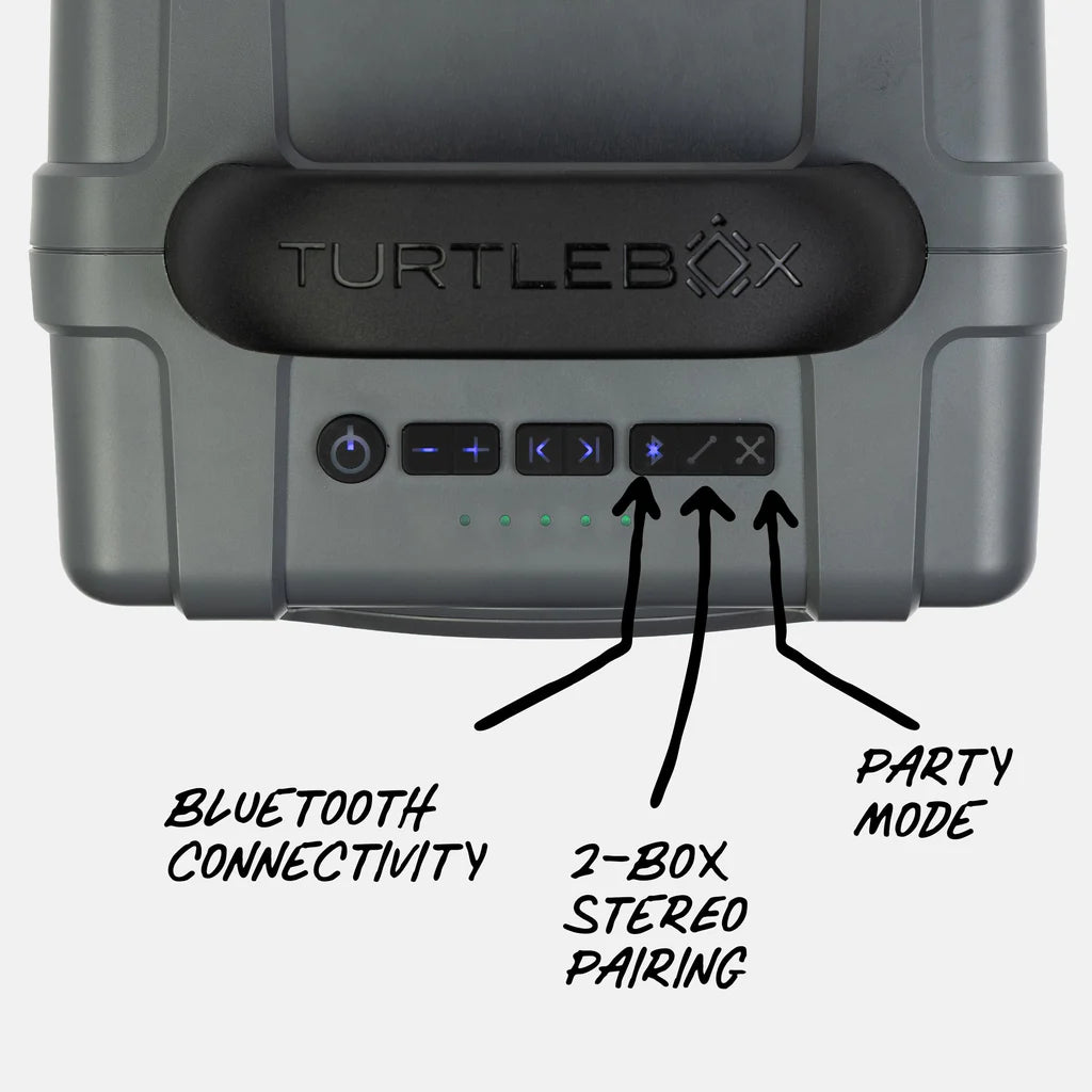 Turtlebox | Cub in Gray