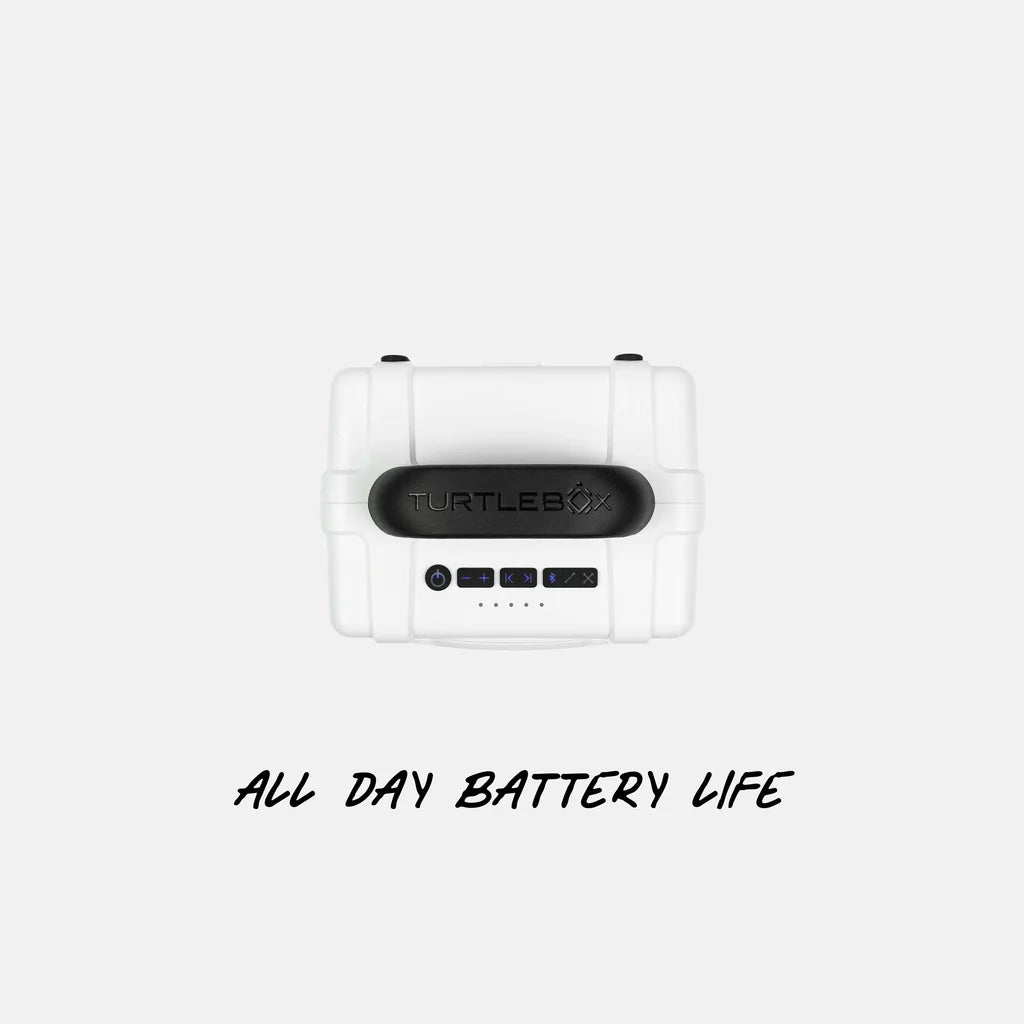 Turtlebox | Cub in White