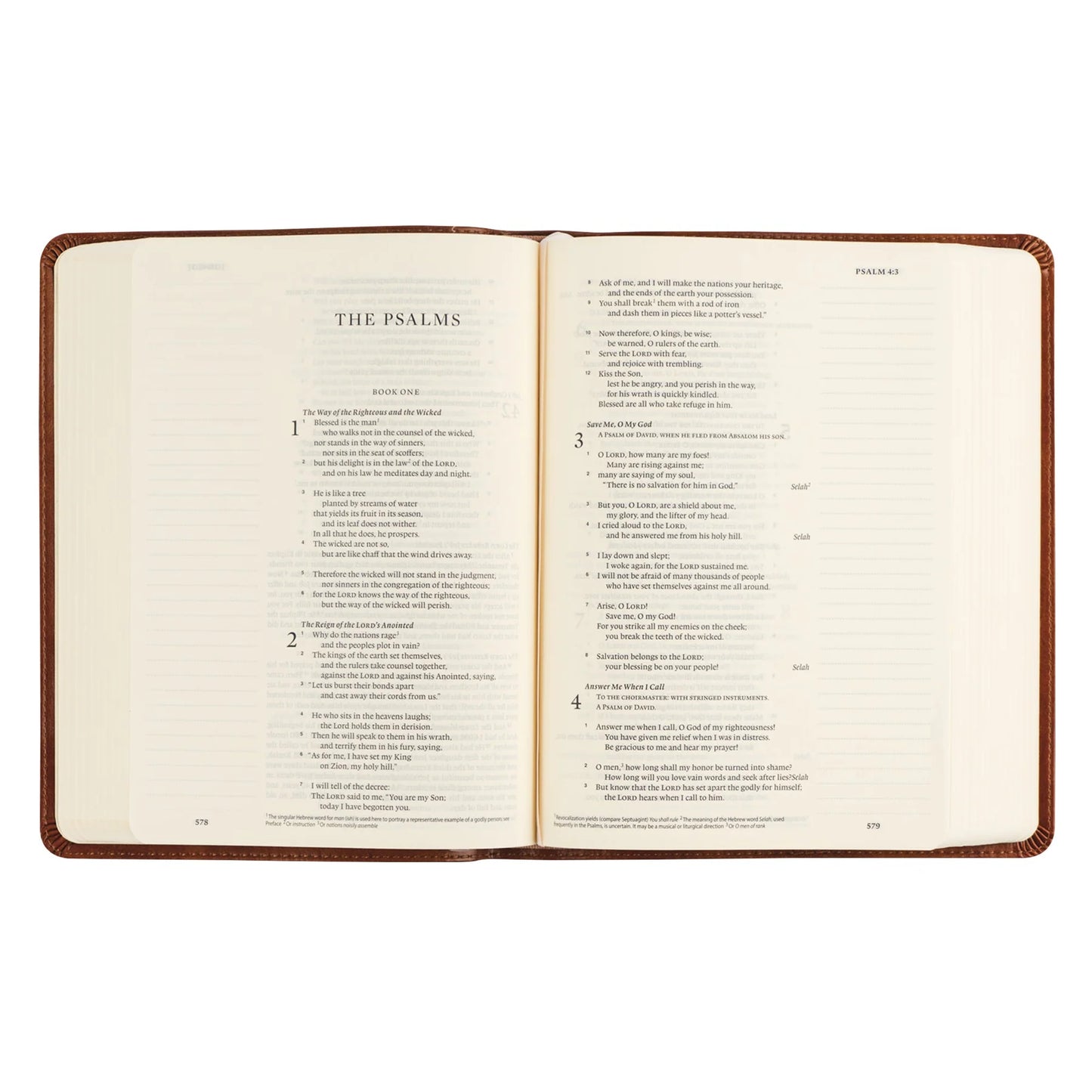 ESV Single Column Journaling Bible: Sierra Theme