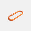Turtlebox | Carabiner