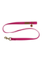 Local Boy Dog Leash in Pink