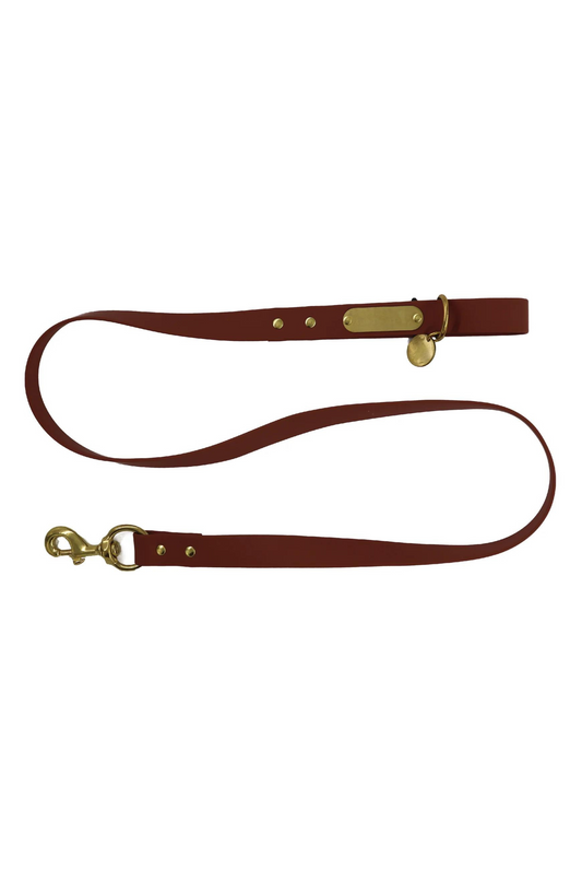 Local Boy Dog Leash in Brown