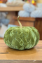 Large Braided Plush Pumpkin in Green