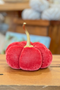 Small Plush Pumpkin in Rasberry