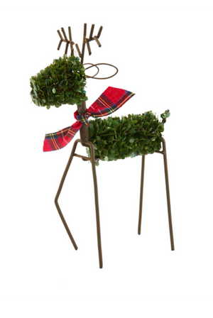 Large Boxwood Reindeer Sitter