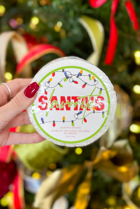 Santa's Favorite Soap Sponge