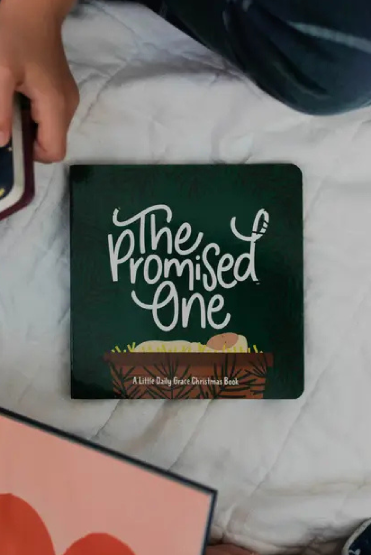 The Promised One Board Book