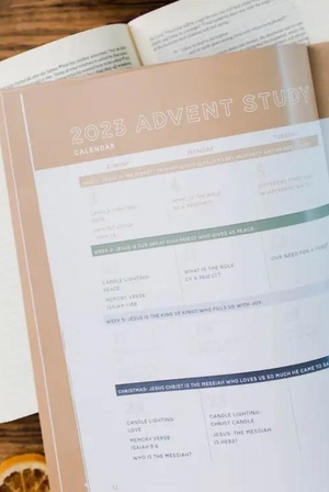 Good News, Great Joy - An Advent Study on the Power and Perfection of Jesus (for men)