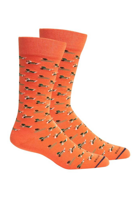 Brown Dog Currituck Socks in Dubarry