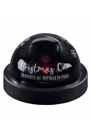 Christmas Cam