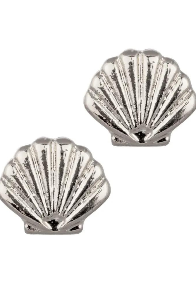 Silver Seashell Stud Earring